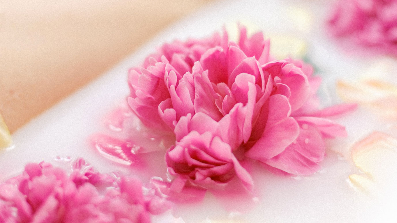 Une fleurs rose dans l'eau de riz pour se bienfaits naturels